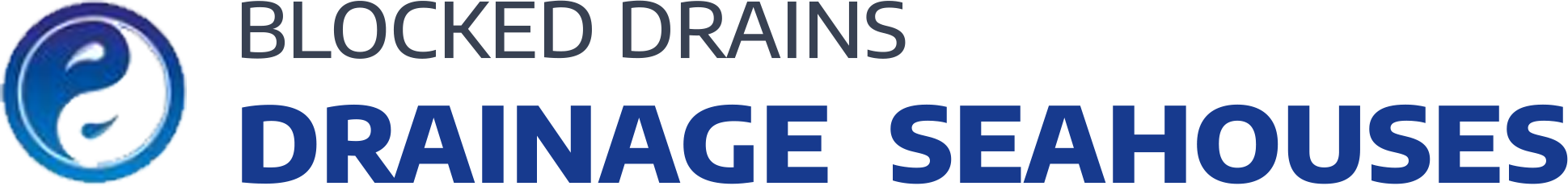 website logo